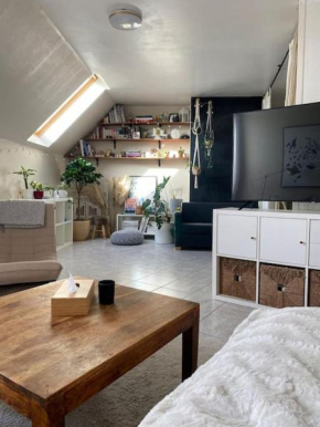 Duplex entre de Paris et Disney